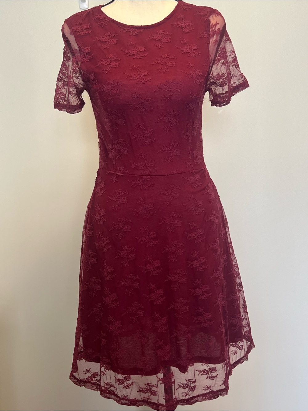 H&M Burgundy Floral Lace Mini Dress